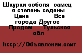 Шкурки соболя (самец) 1-я степень седены › Цена ­ 12 000 - Все города Другое » Продам   . Тульская обл.